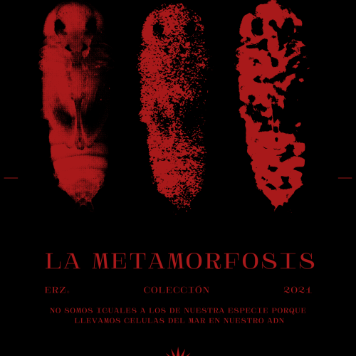 POSTER OFICIAL