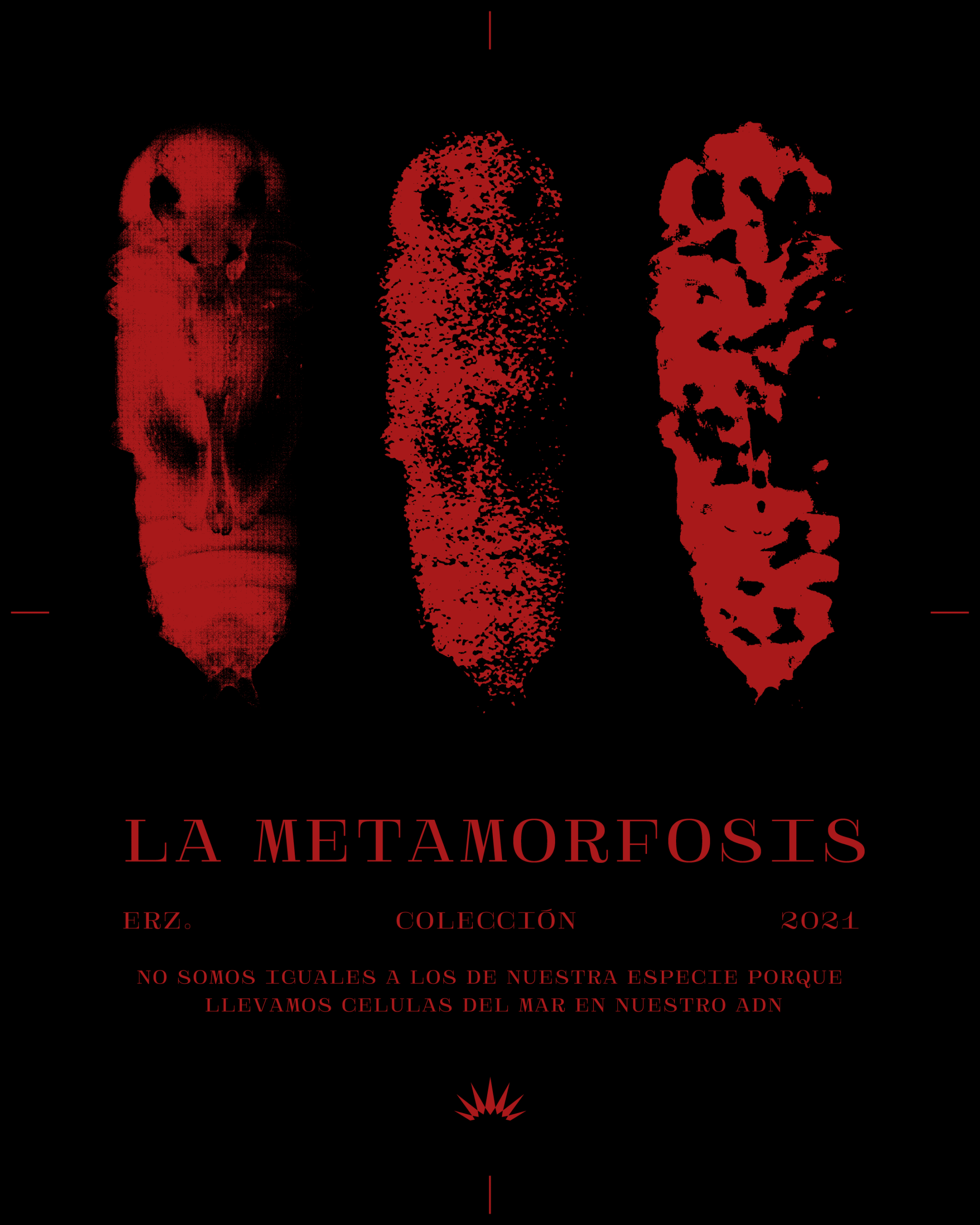 POSTER OFICIAL